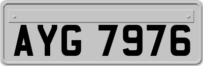 AYG7976
