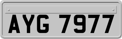 AYG7977