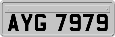 AYG7979