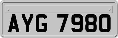 AYG7980
