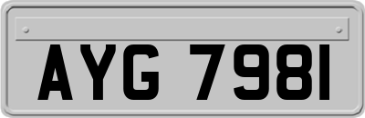 AYG7981