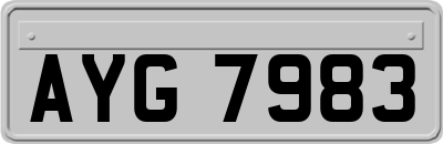 AYG7983
