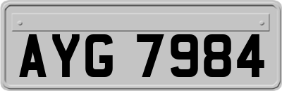 AYG7984
