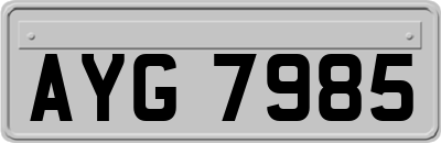AYG7985