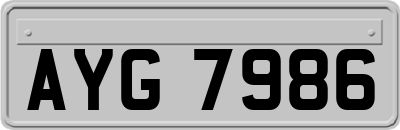 AYG7986