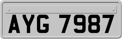 AYG7987