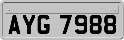 AYG7988