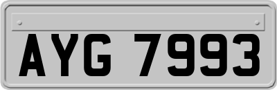 AYG7993
