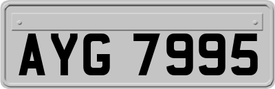 AYG7995
