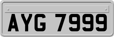 AYG7999