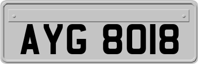 AYG8018