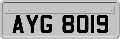 AYG8019
