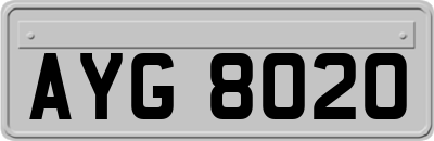 AYG8020