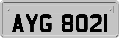 AYG8021
