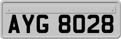 AYG8028