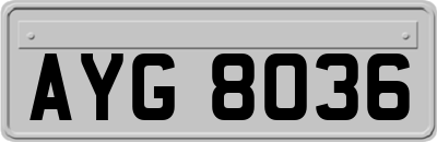 AYG8036