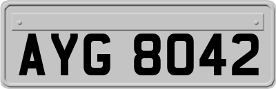 AYG8042