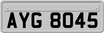 AYG8045