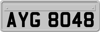 AYG8048
