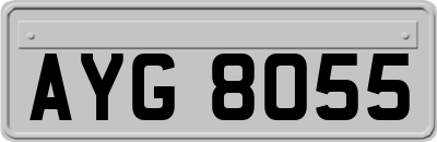 AYG8055