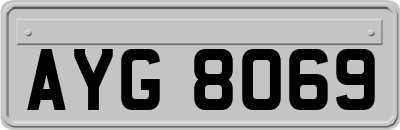 AYG8069