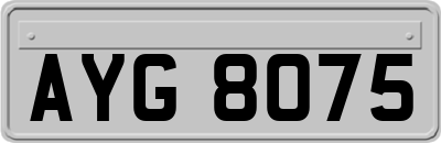 AYG8075