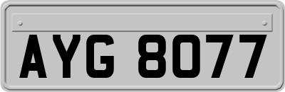 AYG8077