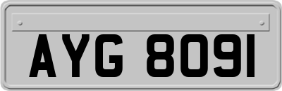 AYG8091