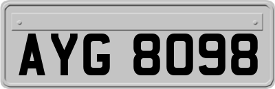 AYG8098