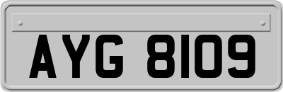 AYG8109