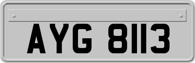 AYG8113