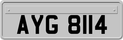 AYG8114