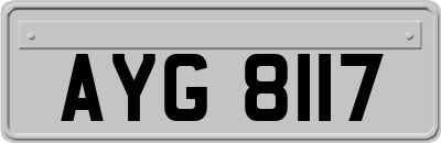 AYG8117