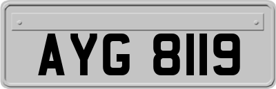 AYG8119