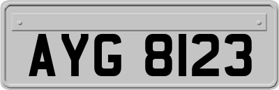 AYG8123