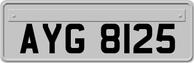AYG8125