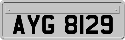 AYG8129