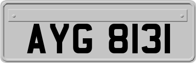 AYG8131