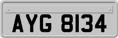 AYG8134