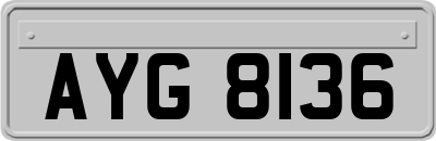 AYG8136