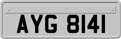 AYG8141