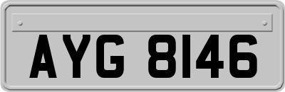 AYG8146