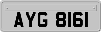 AYG8161