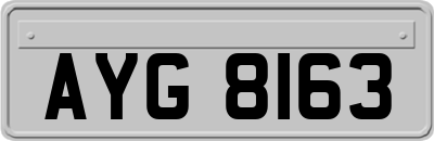 AYG8163