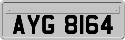 AYG8164