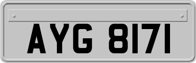 AYG8171