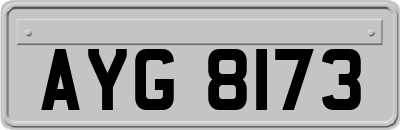 AYG8173