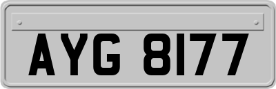 AYG8177
