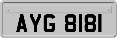AYG8181