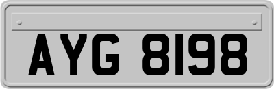 AYG8198